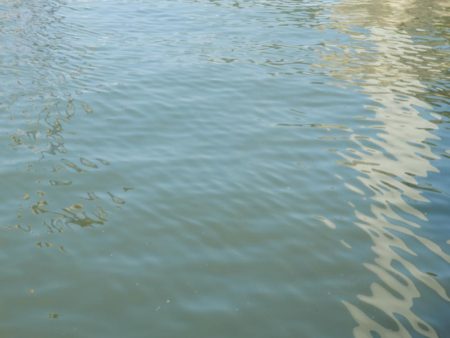 VJ中毒‼発令中⤵